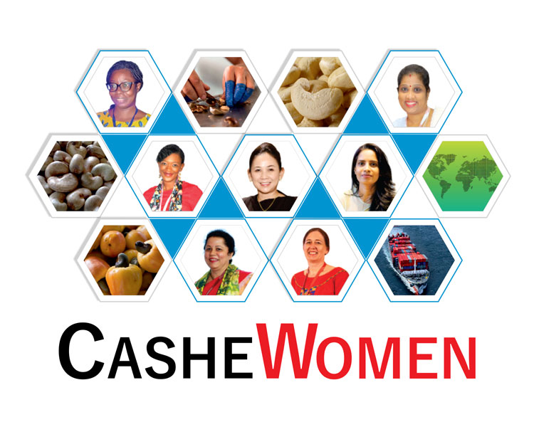 Cashe Women